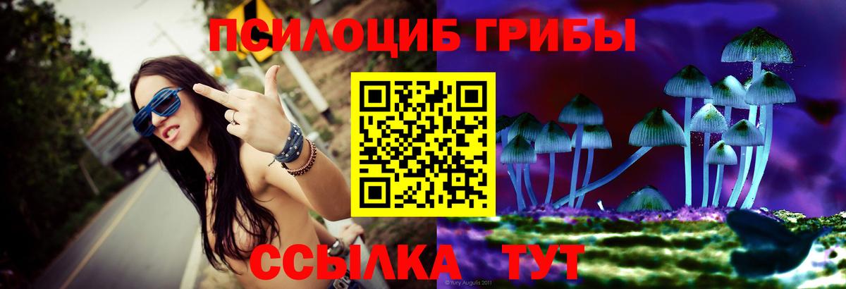 Псилоцибиновые грибы прущие грибы Октябрьский