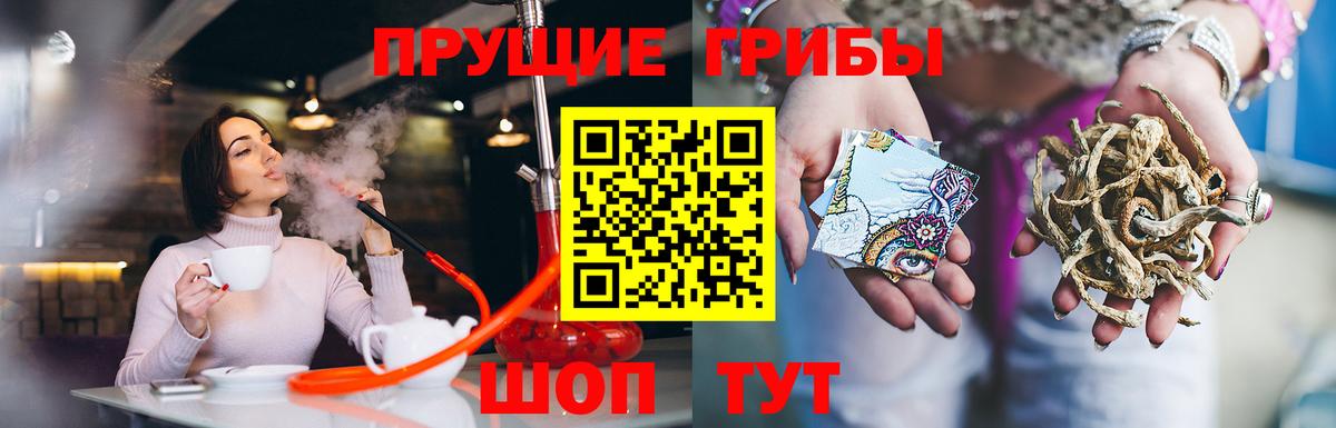 Галлюциногенные грибы Psilocybe  где купить наркоту  Октябрьский  Вход с VPN 